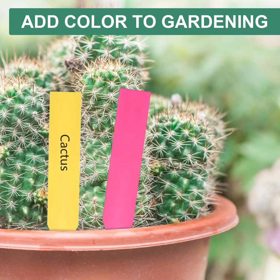 ASIAKASPALAUTUS - Kasvikyltit 500 kpl