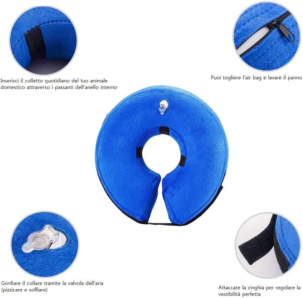 ASIAKASPALAUTUS - Koiran kauluri (XL)