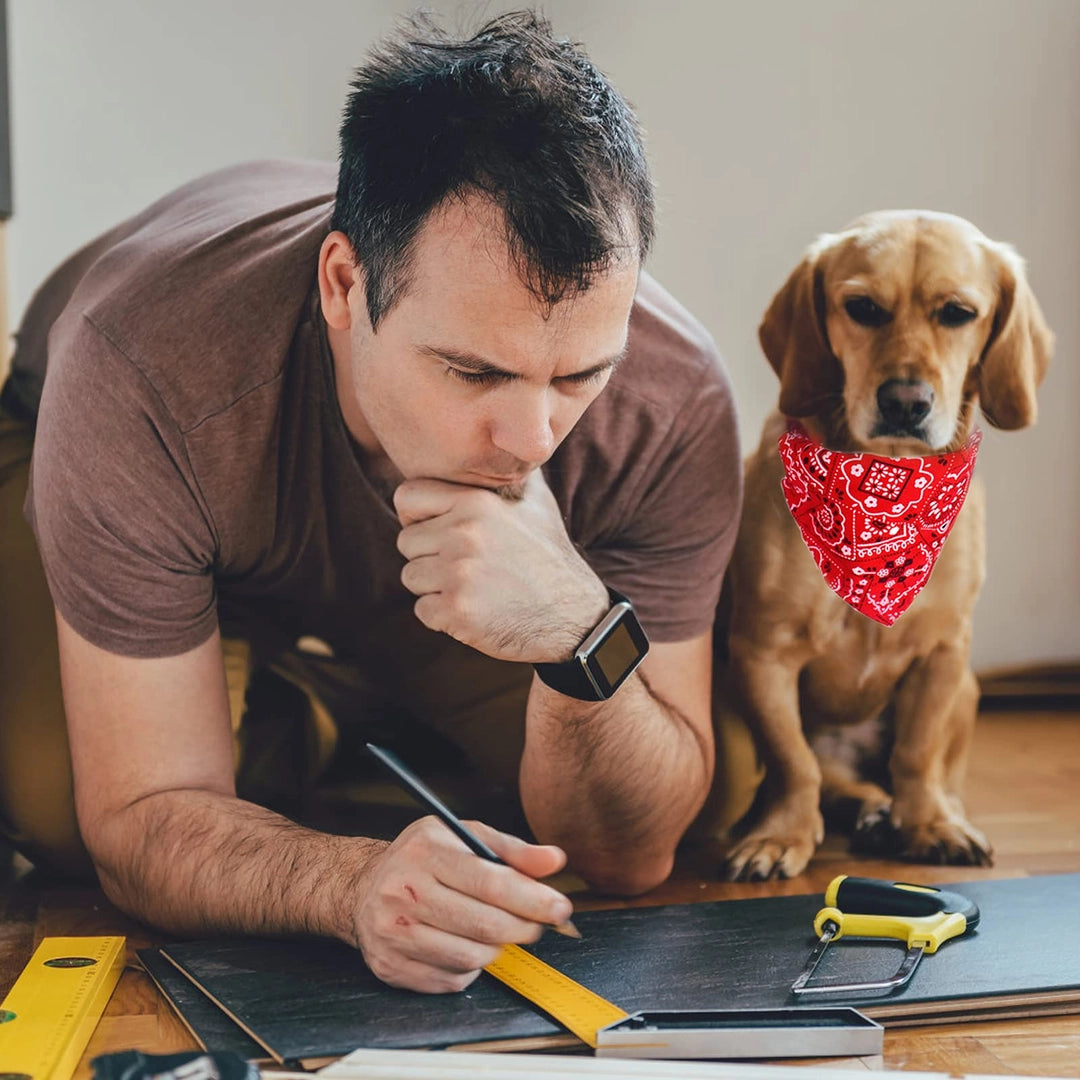 ASIAKASPALAUTUS - Koiran huivipanta 4 kpl