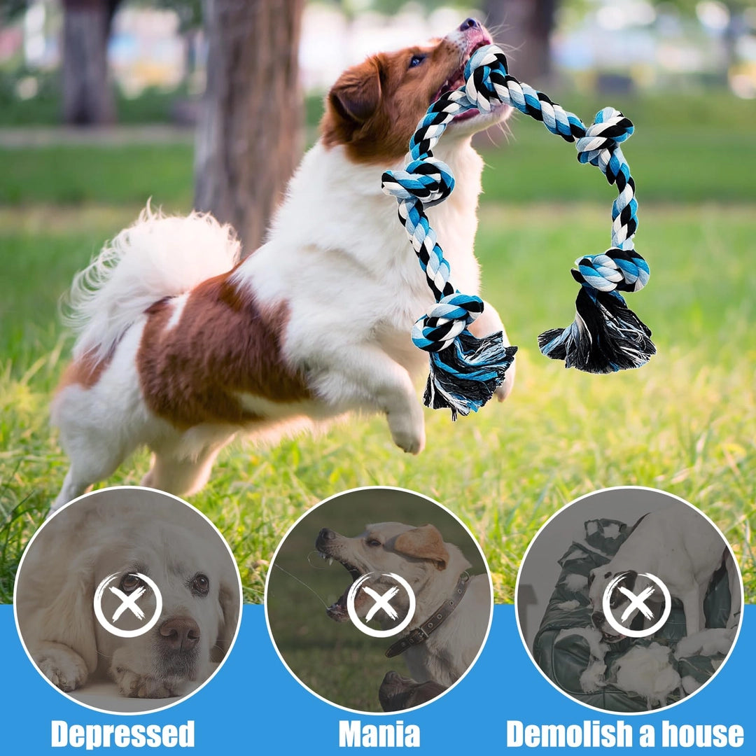 ASIAKASPALAUTUS - Koiran lelu