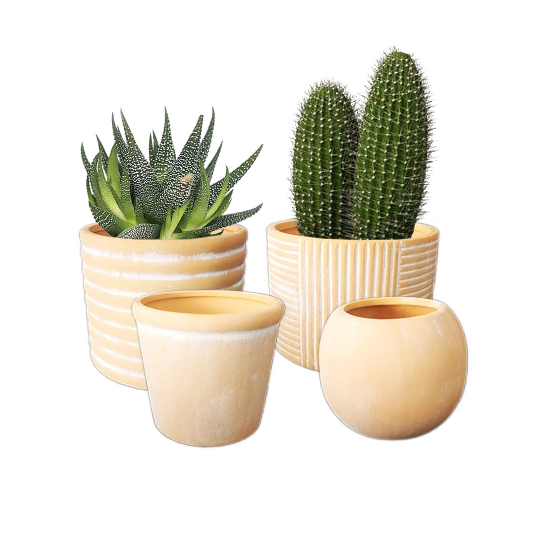 ASIAKASPALAUTUS - Kukkaruukut 4 kpl