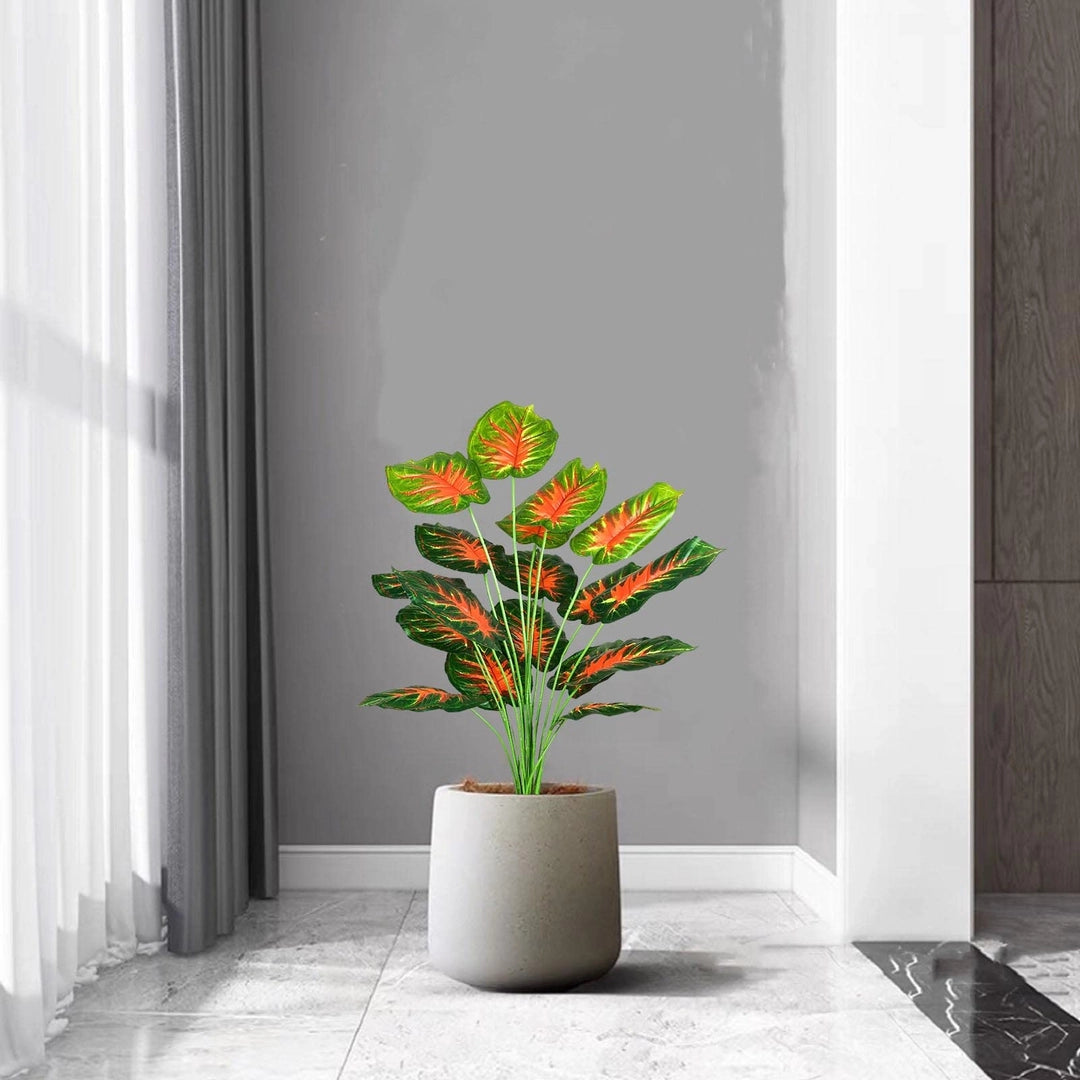 ASIAKASPALAUTUS - Tekokasvi 75 cm