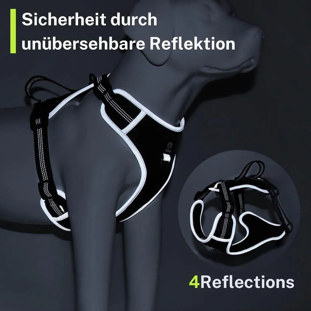 ASIAKASPALAUTUS - Koiran valjaat S