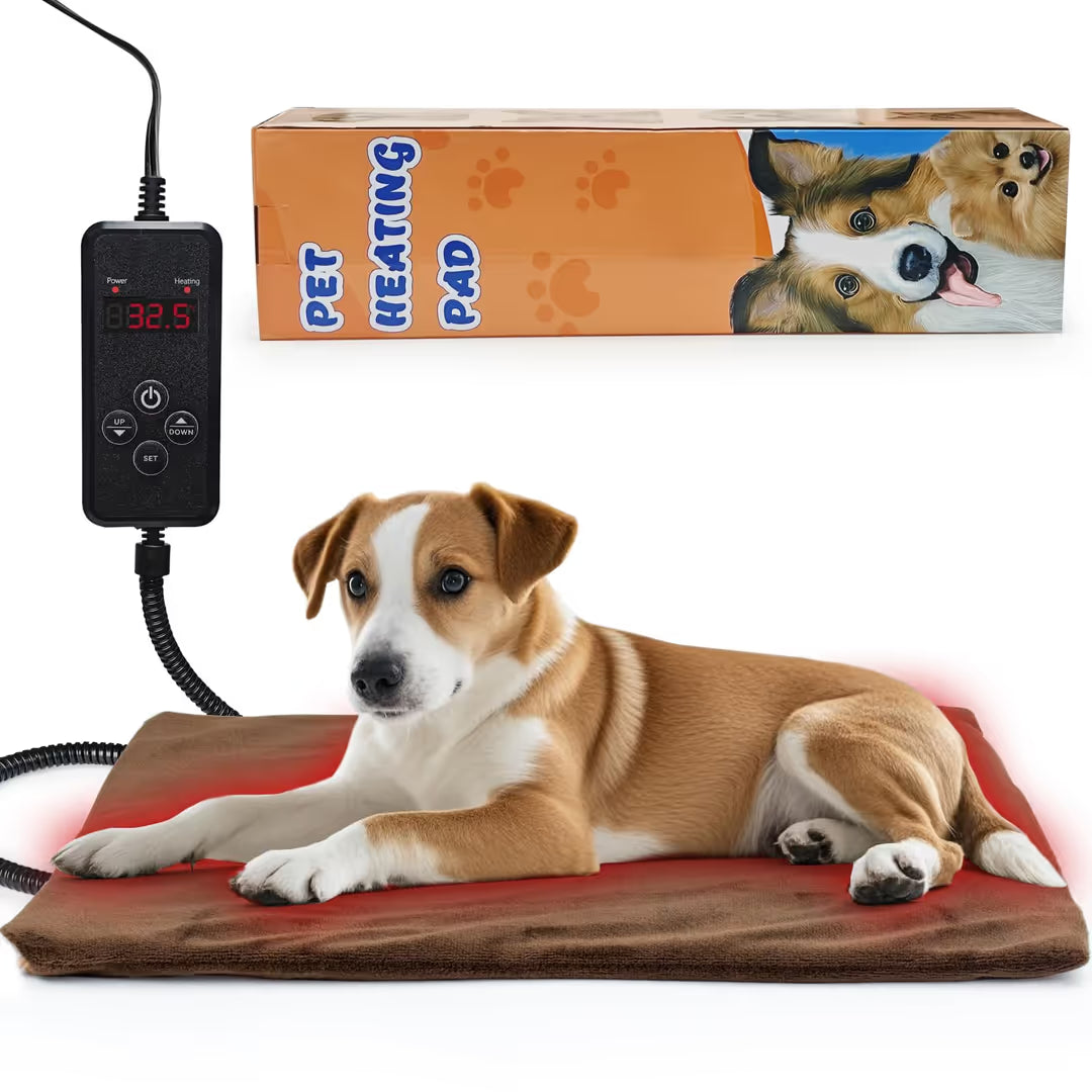 ASIAKASPALAUTUS - Lemmikin lämpöalusta