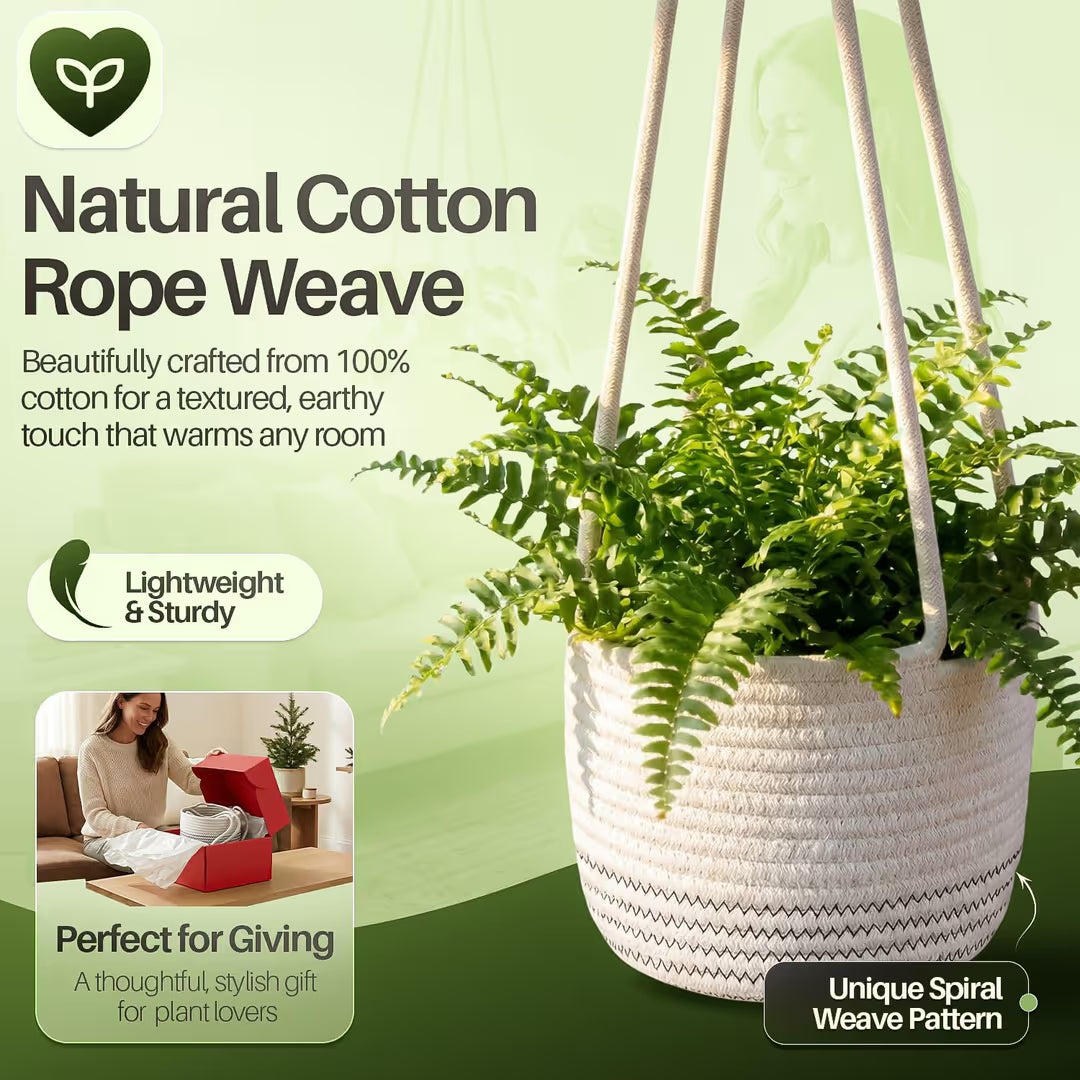 ASIAKASPALAUTUS - Amppelit 2 kpl