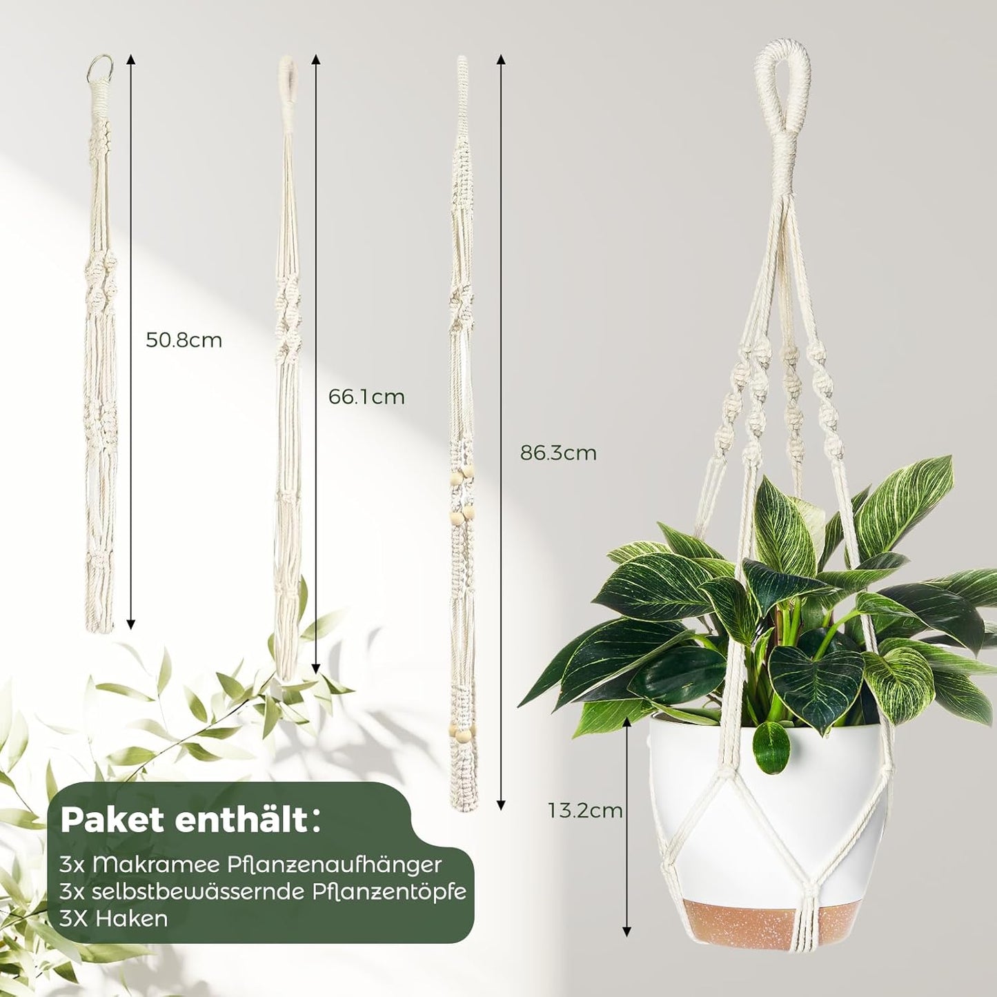 ASIAKASPALAUTUS - Amppelit 3 kpl (sis. ruukut)