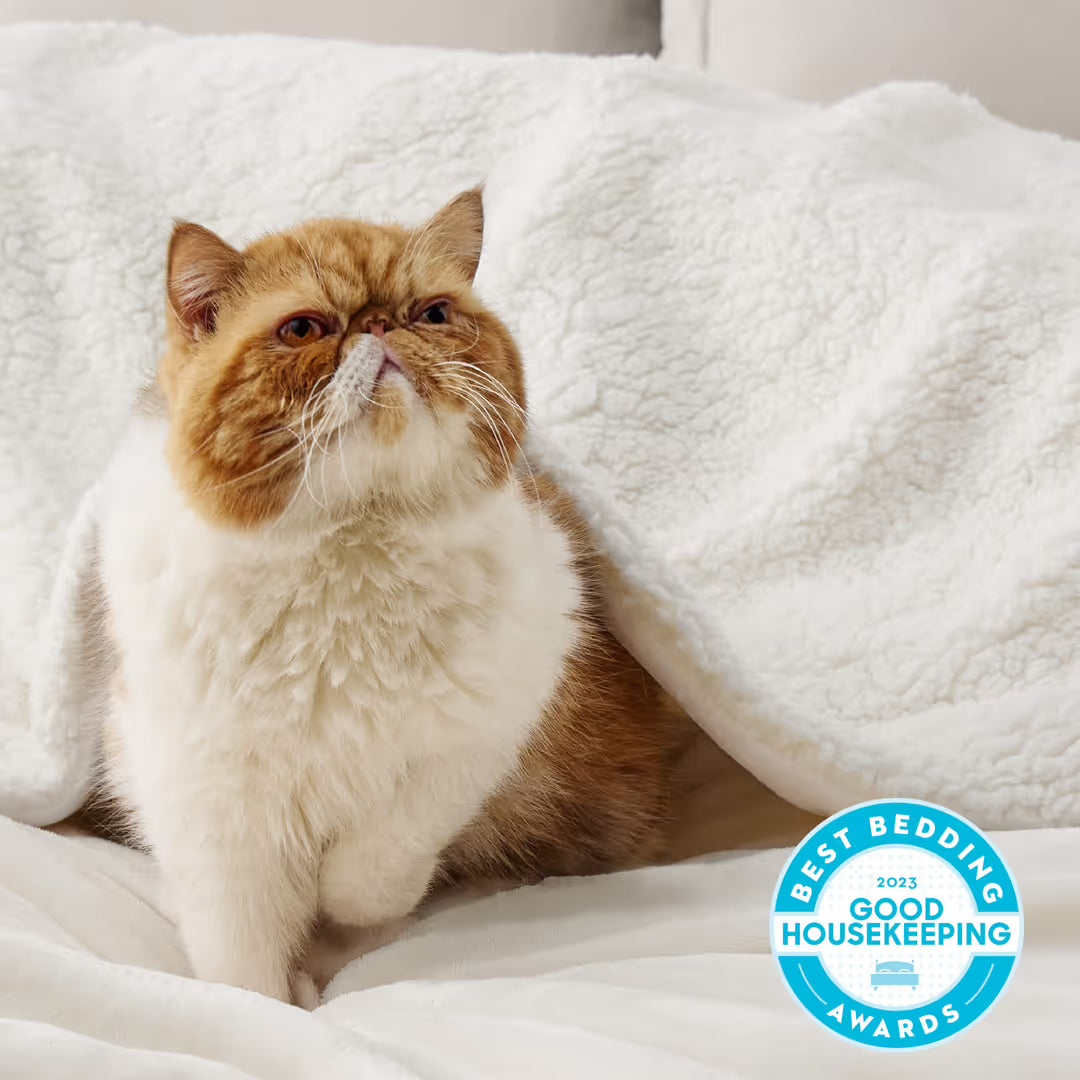 ASIAKASPALAUTUS - Huopa / torkkupeitto