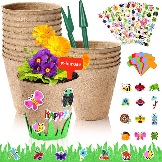 ASIAKASPALAUTUS - Kasvatussetti