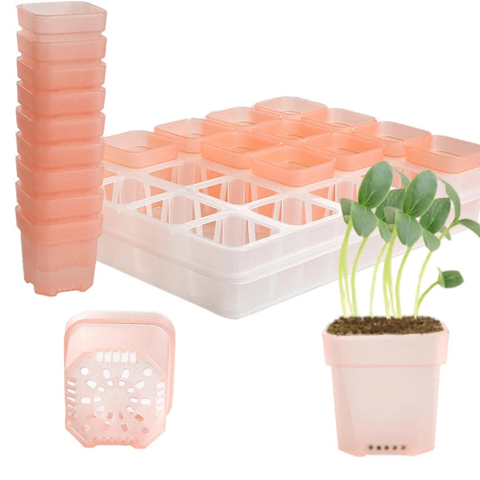 ASIAKASPALAUTUS - Kasvatusalusta