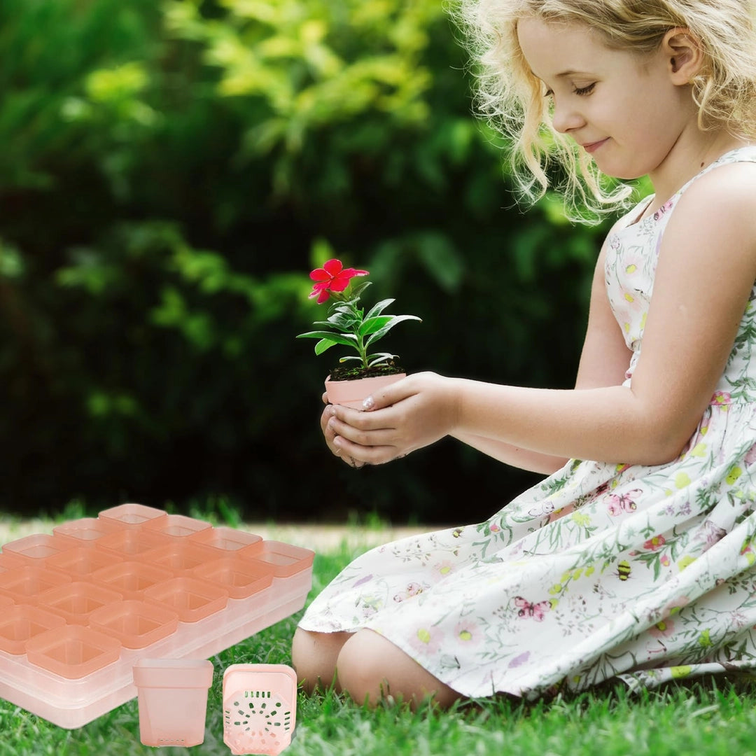 ASIAKASPALAUTUS - Kasvatusalusta