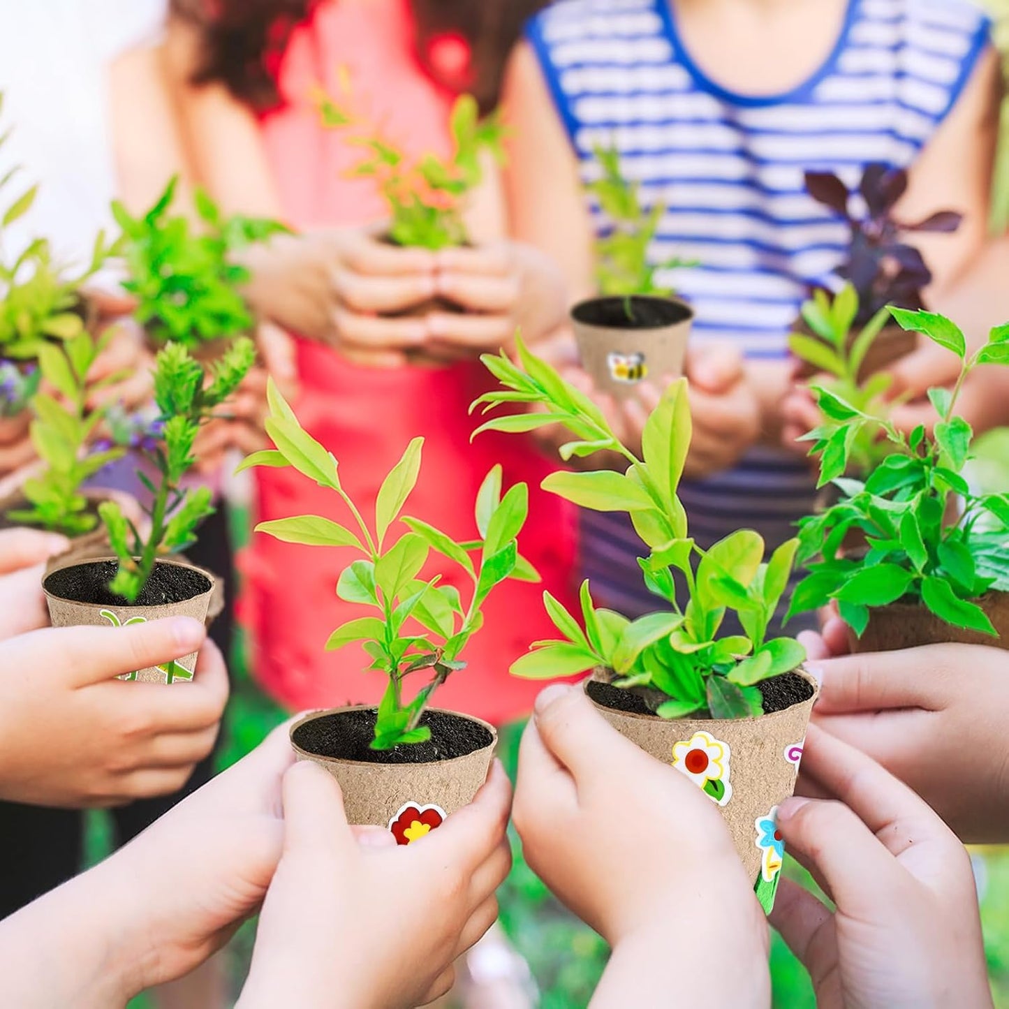 ASIAKASPALAUTUS - Kasvatussetti