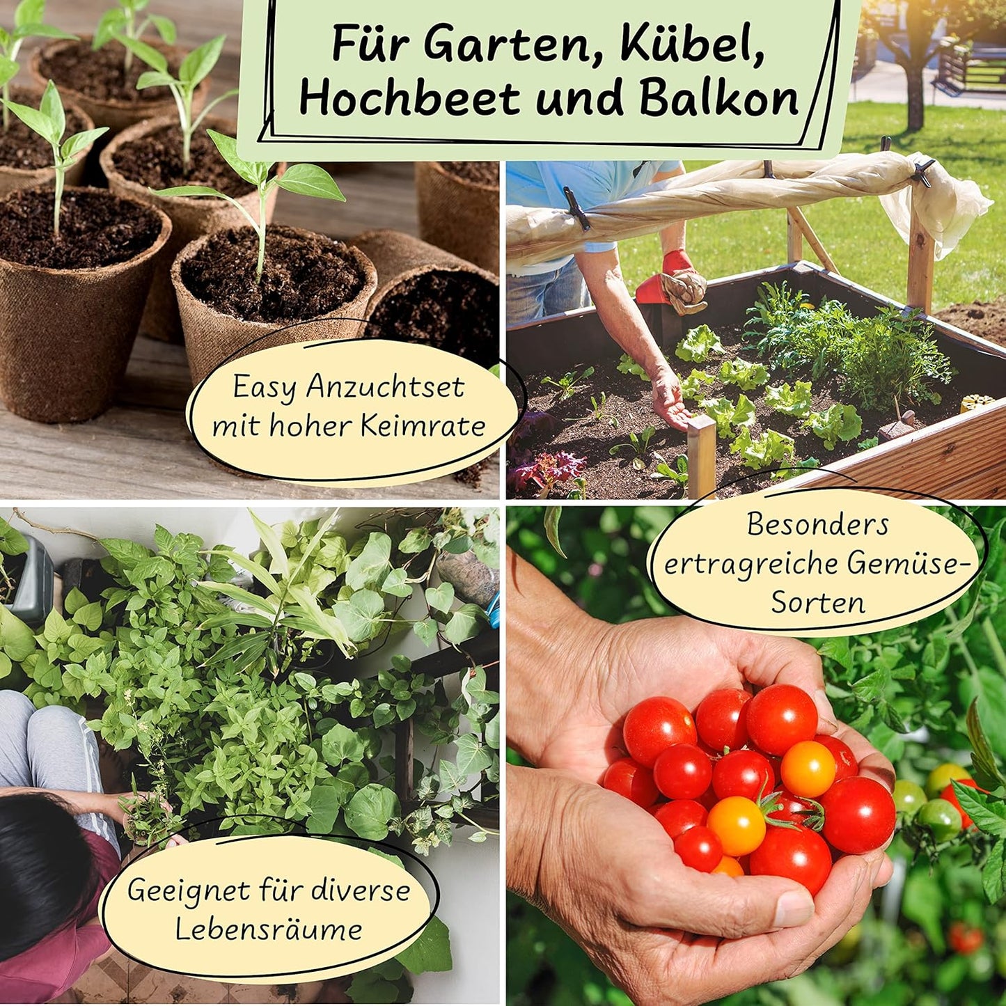 UUSI - Kasvatussetti