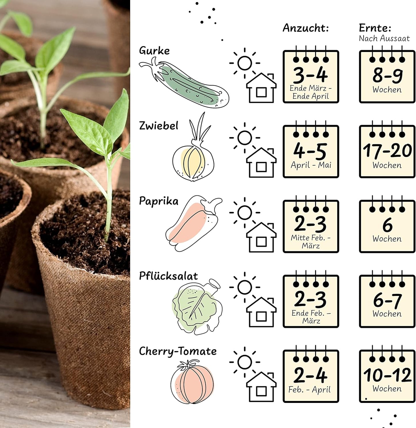 UUSI - Kasvatussetti