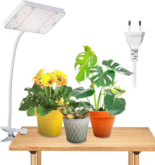 ASIAKASPALAUTUS - Kasvivalo