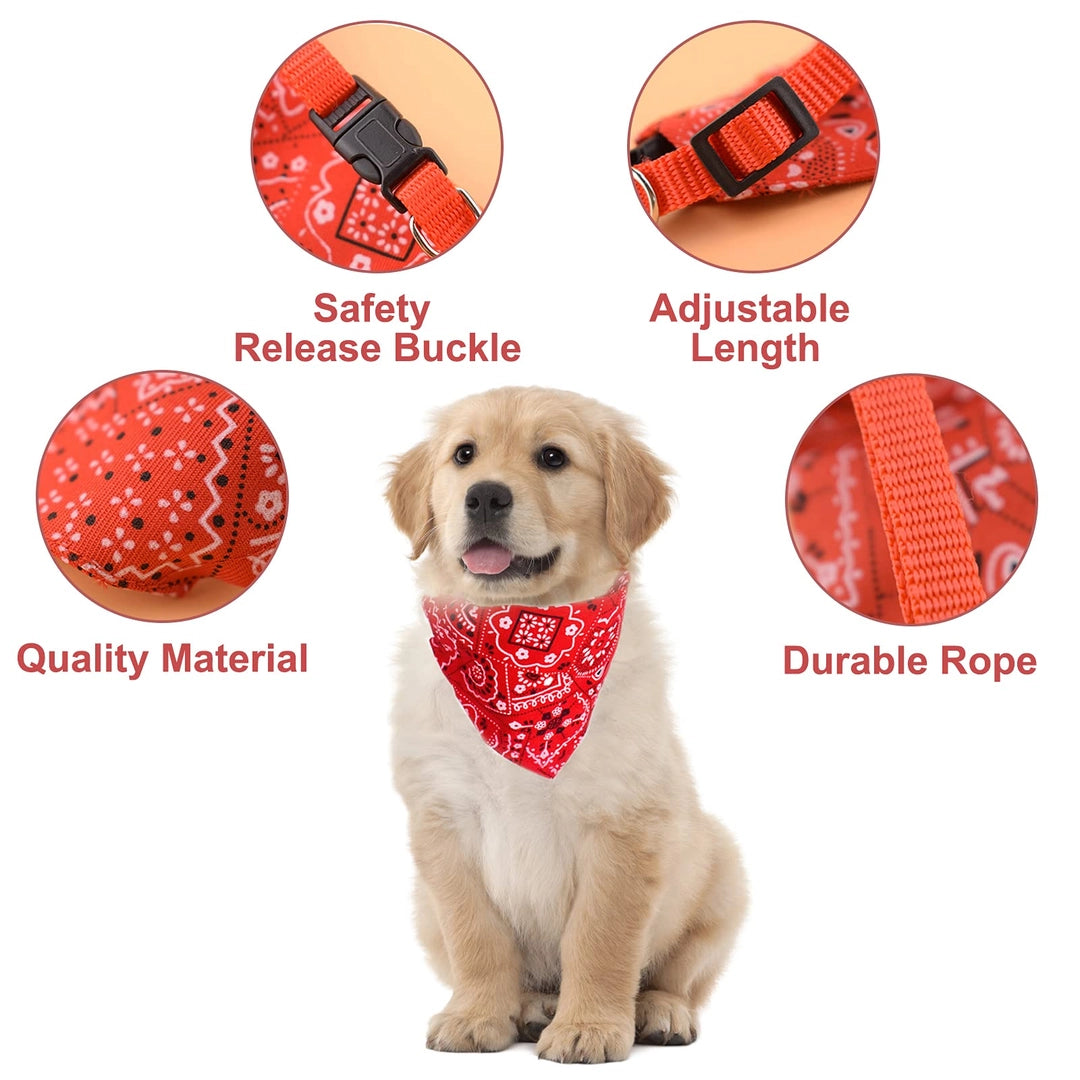 ASIAKASPALAUTUS - Koiran huivipanta 4 kpl