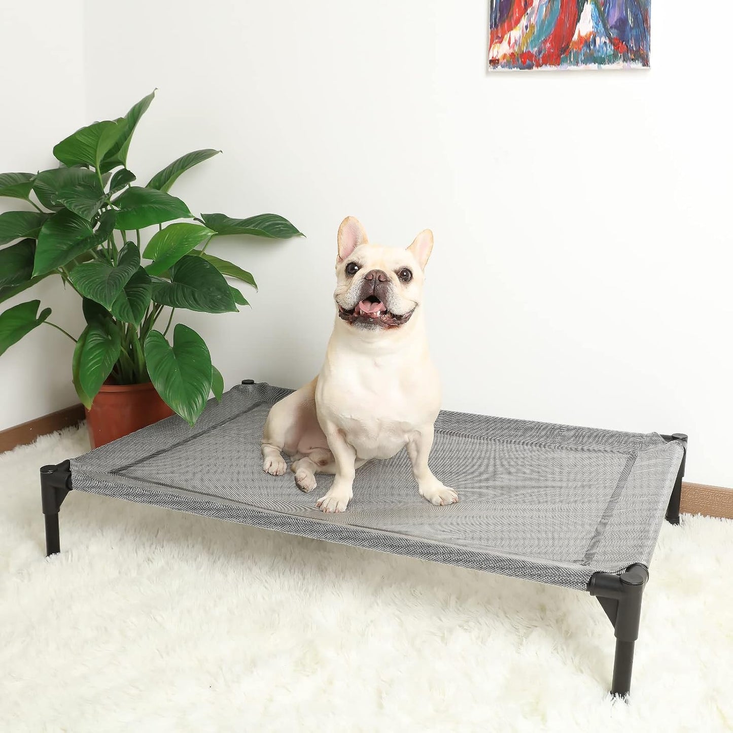 ASIAKASPALAUTUS - Koiran peti