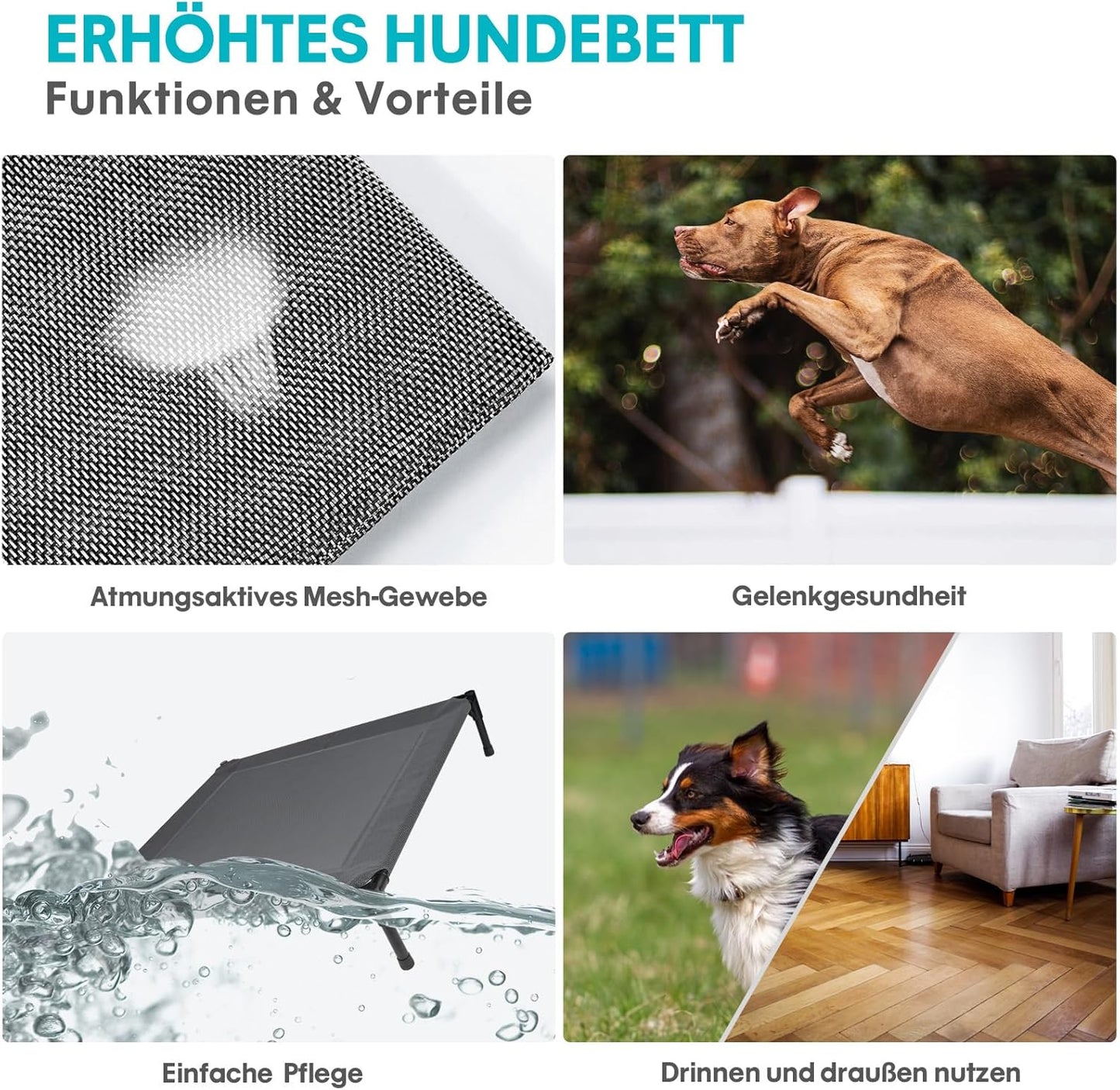 ASIAKASPALAUTUS - Koiran peti