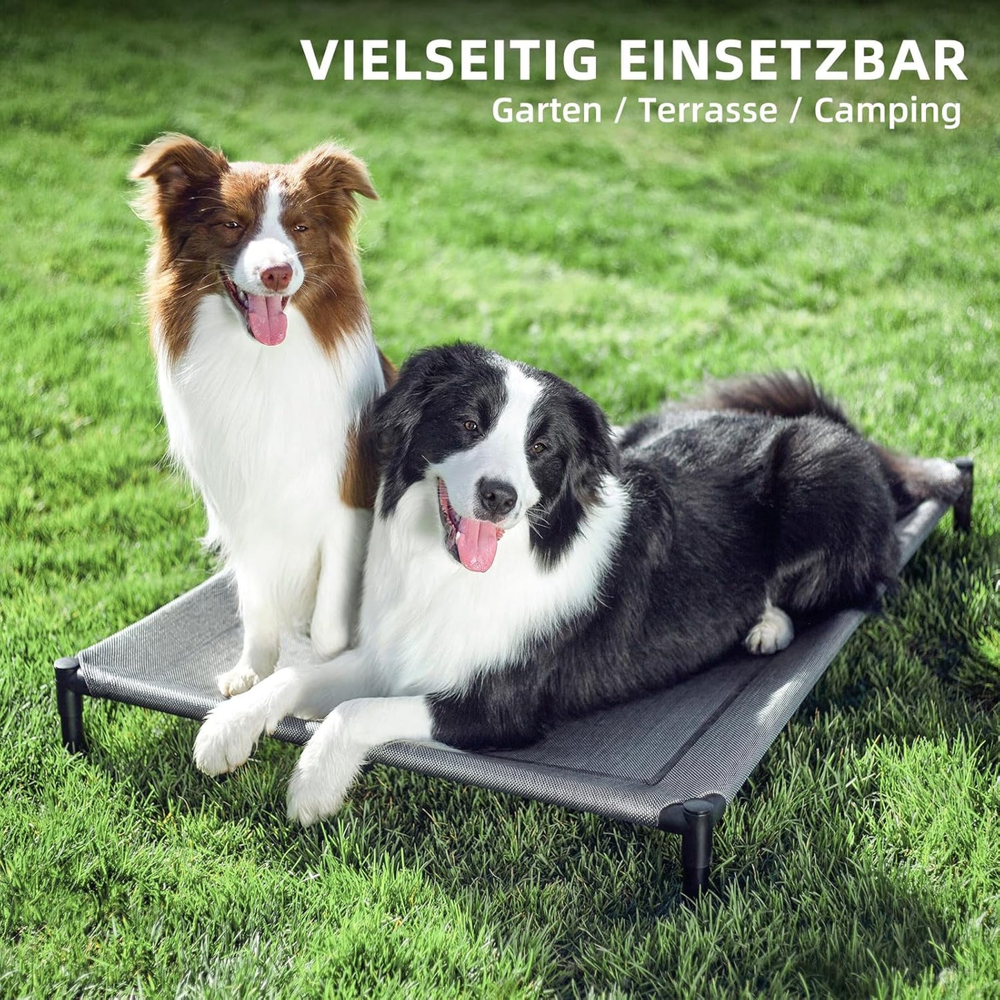 ASIAKASPALAUTUS - Koiran peti