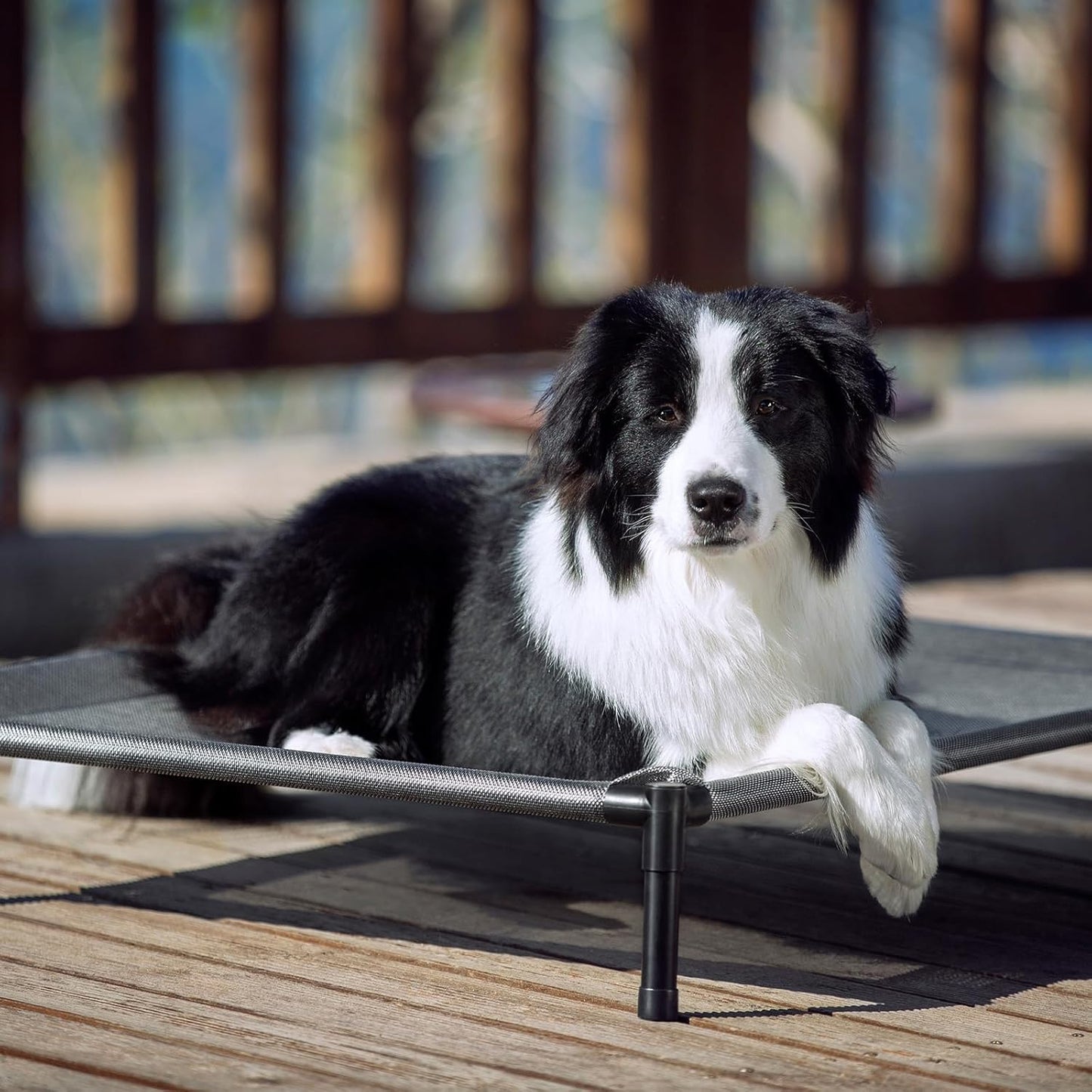 ASIAKASPALAUTUS - Koiran peti