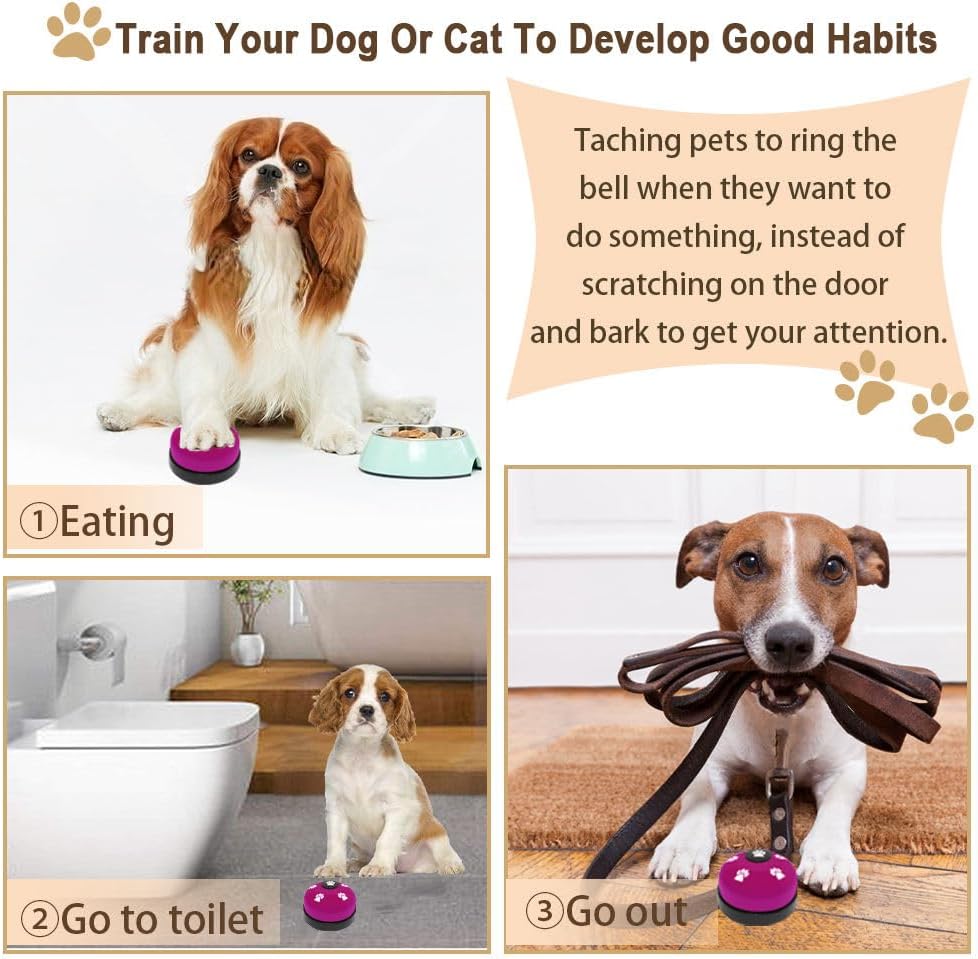 ASIAKASPALAUTUS - Koiran treenikellot (eri värejä)