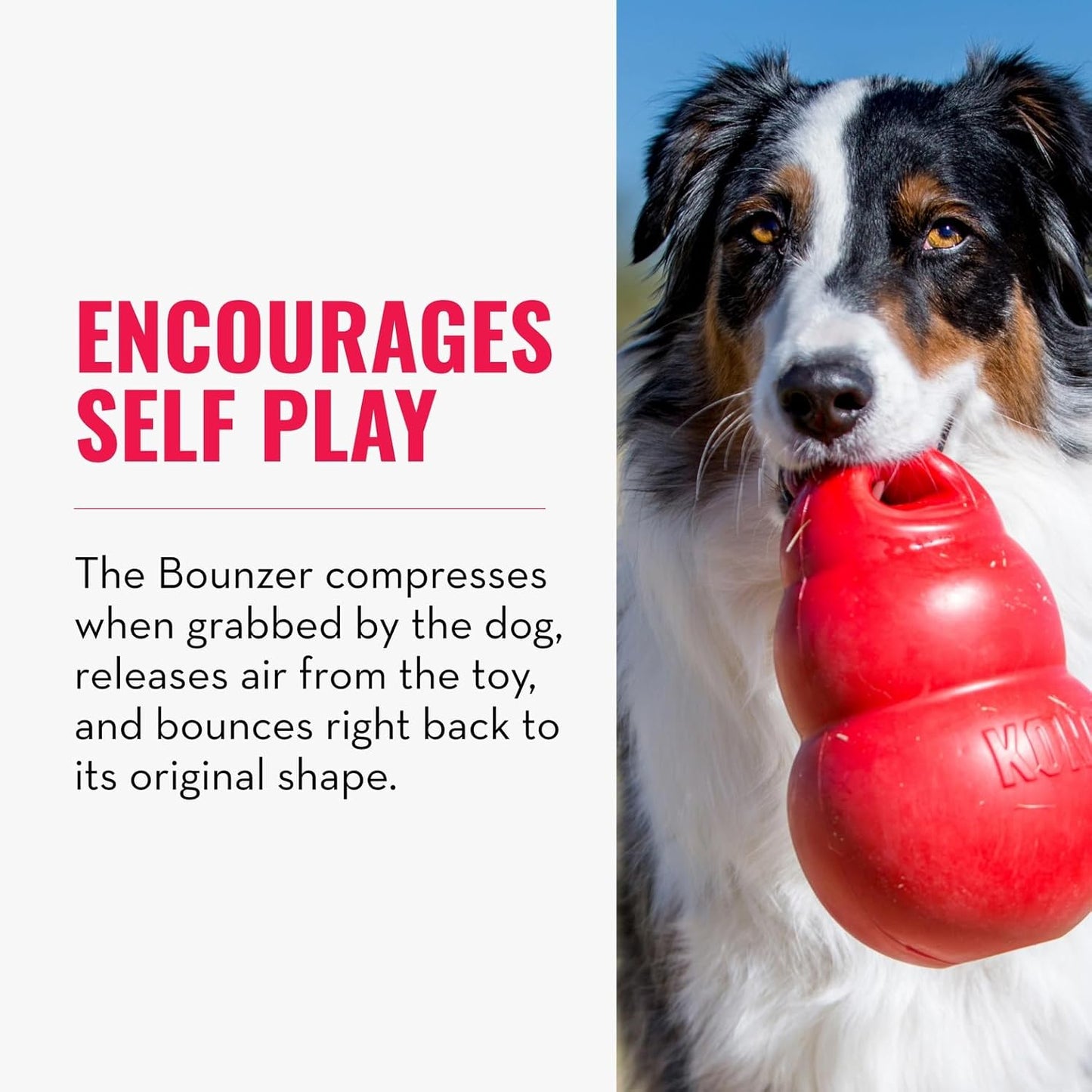 ASIAKASPALAUTUS - Koiran lelu KONG Bounzer