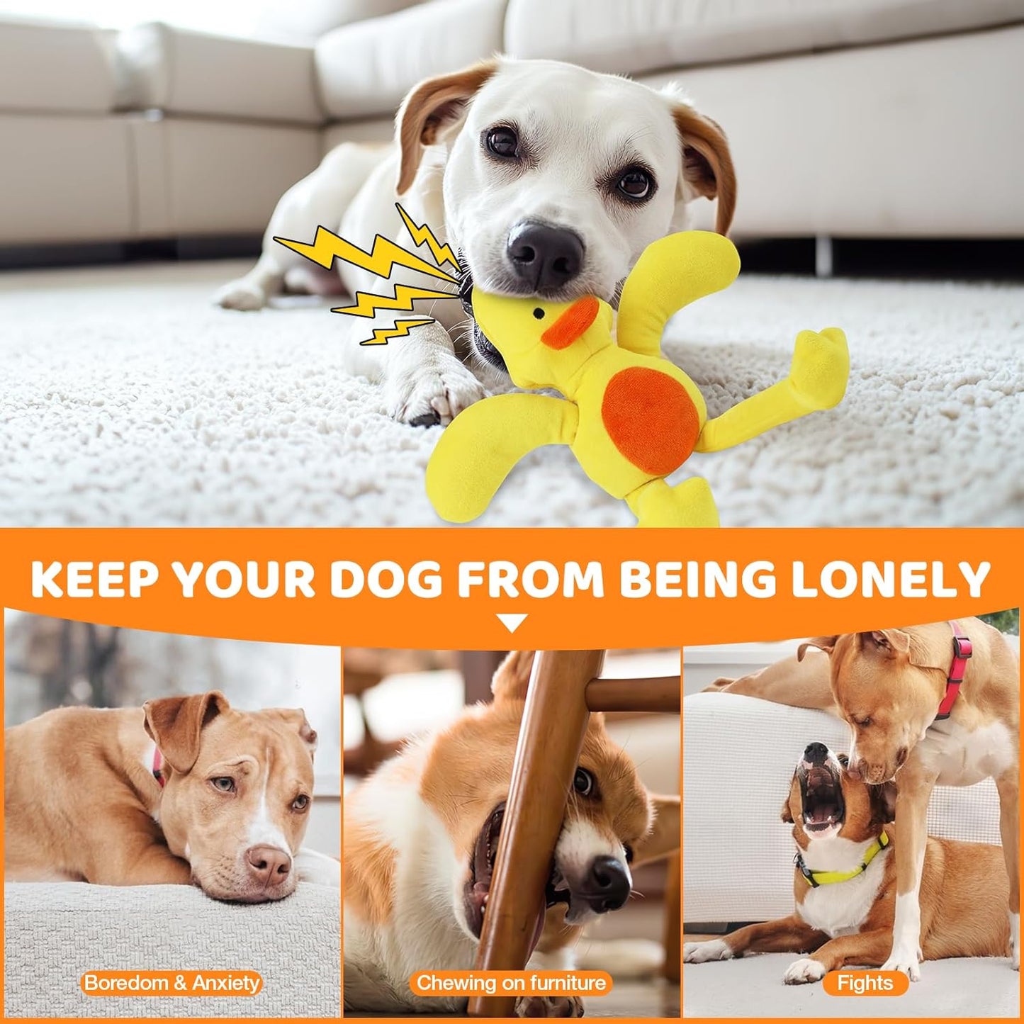 ASIAKASPALAUTUS - Koiran lelu