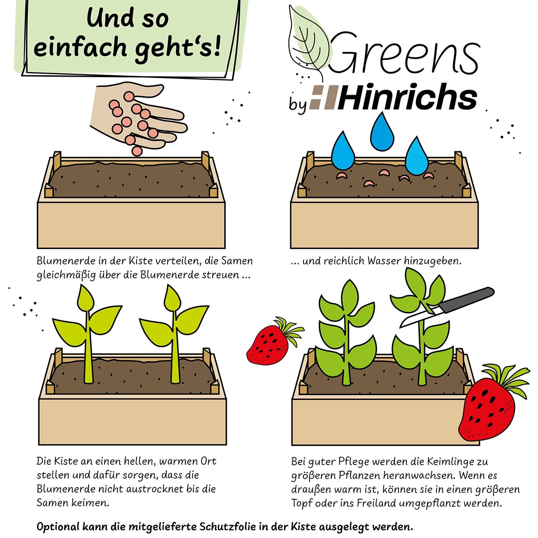 UUSI - Kasvatussetti (mansikka)