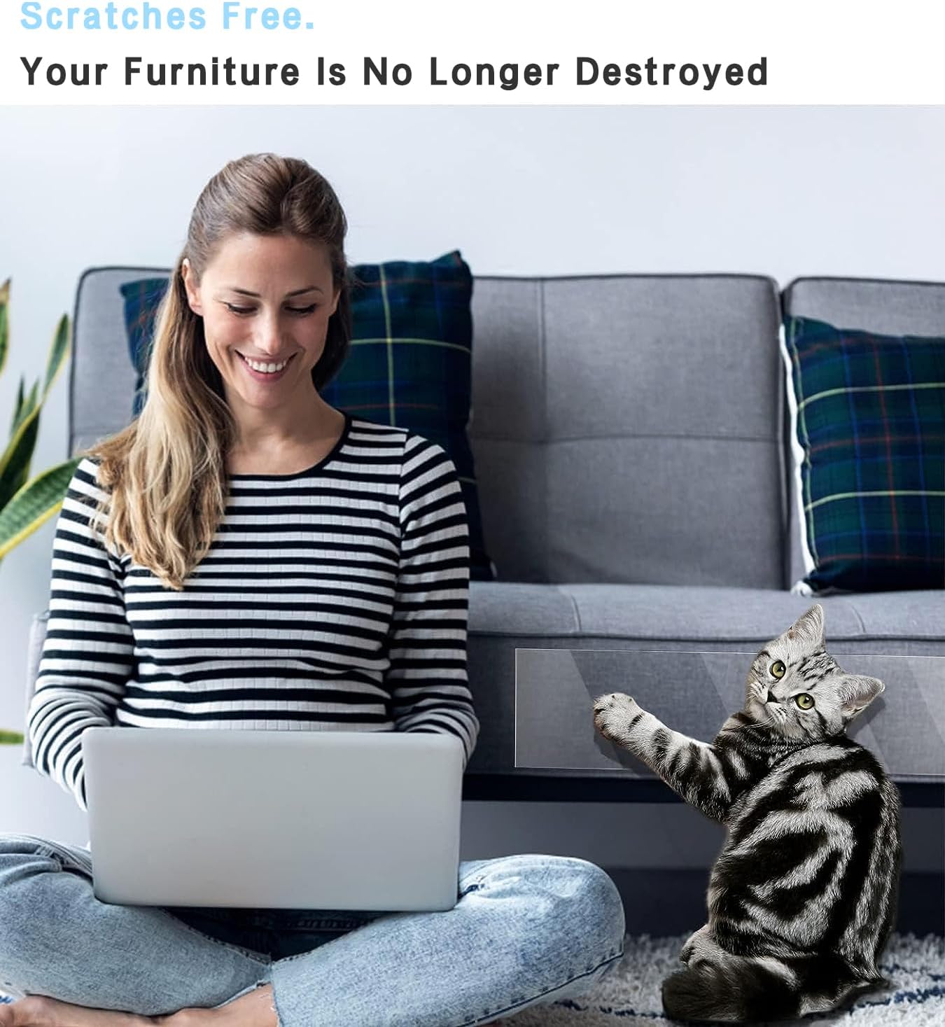 ASIAKASPALAUTUS - Kissan raapimissuoja (tarrakiinnitys)