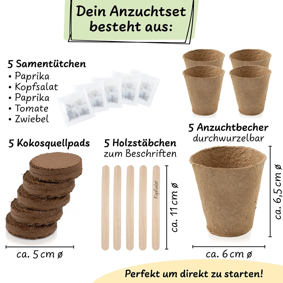 UUSI - Kasvatussetti