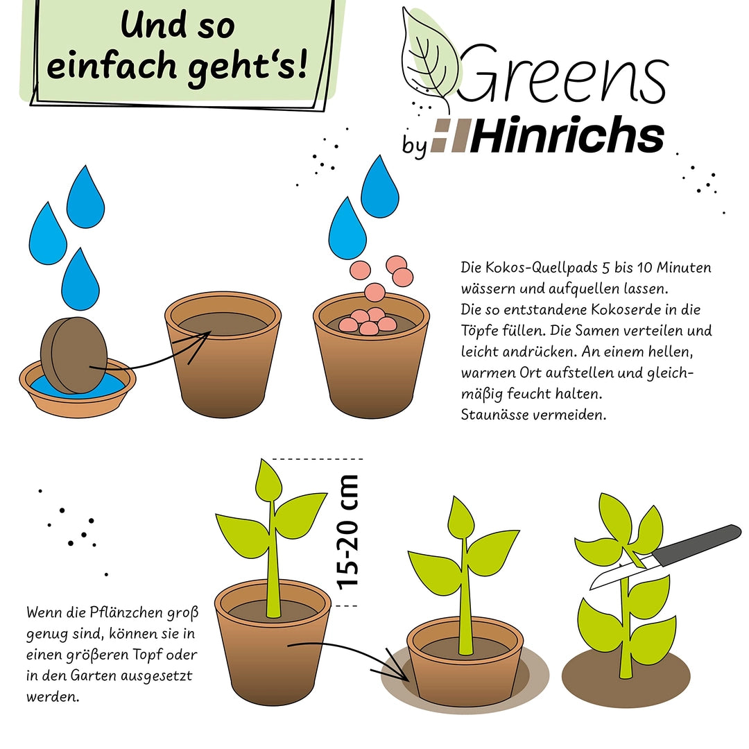 UUSI - Kasvatussetti