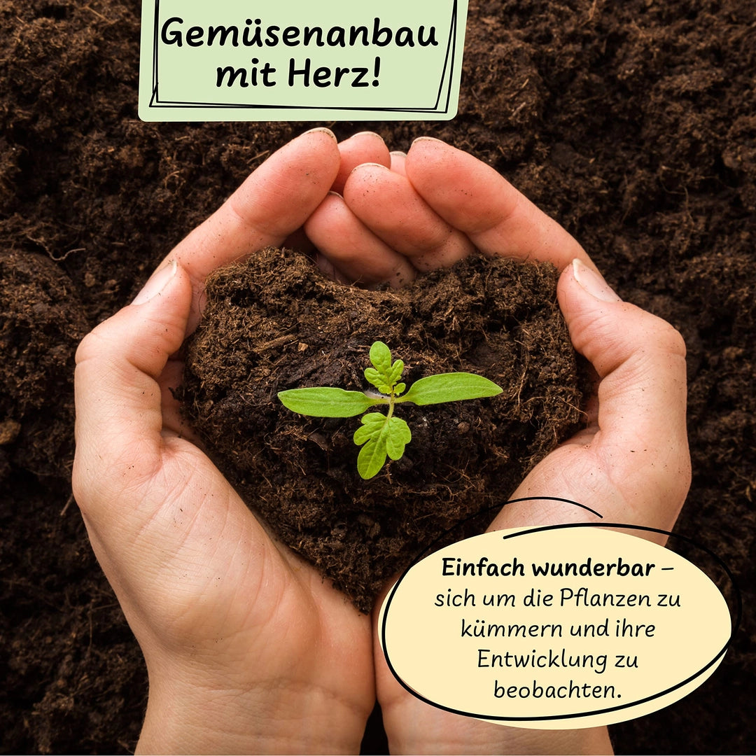 UUSI - Kasvatussetti