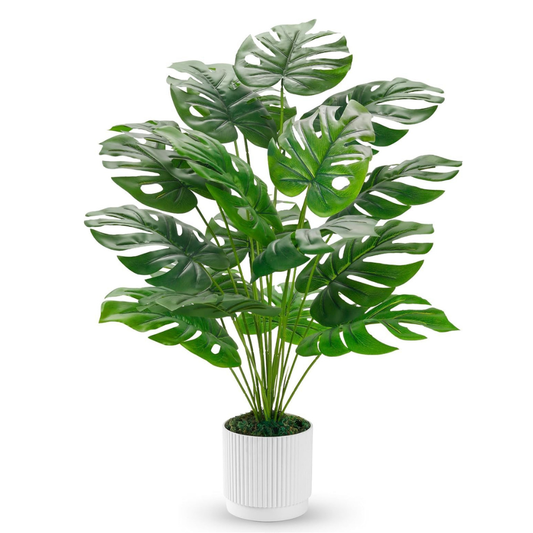 ASIAKASPALAUTUS - Tekokasvi 71 cm