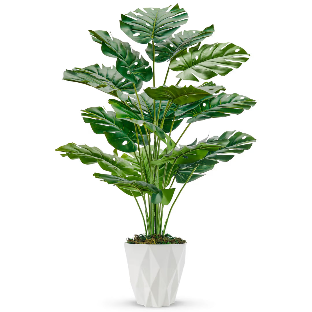 ASIAKASPALAUTUS - Tekokasvi 71 cm