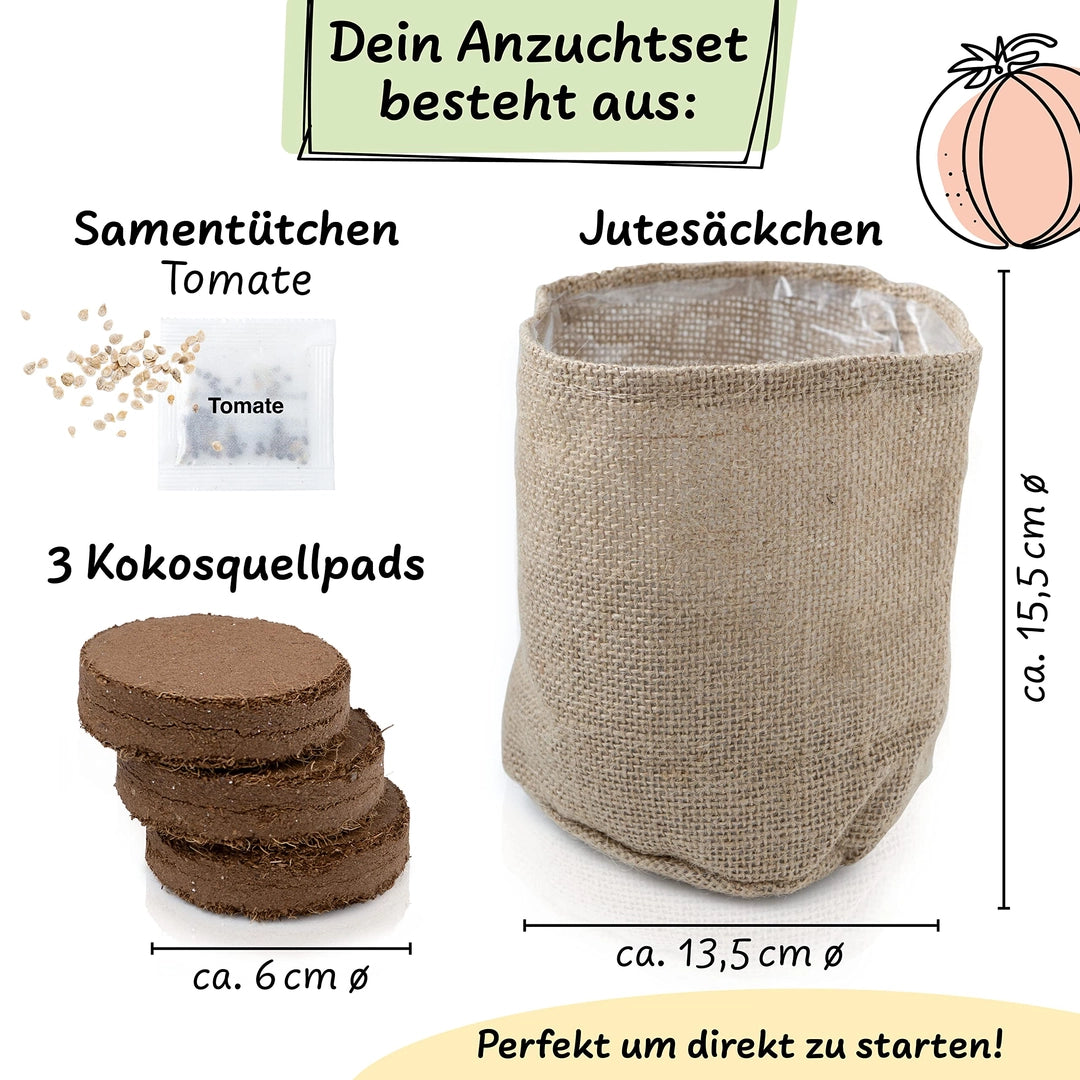 UUSI - Kasvatussetti (tomaatti)