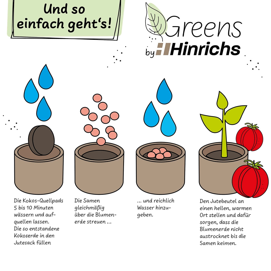 UUSI - Kasvatussetti (tomaatti)