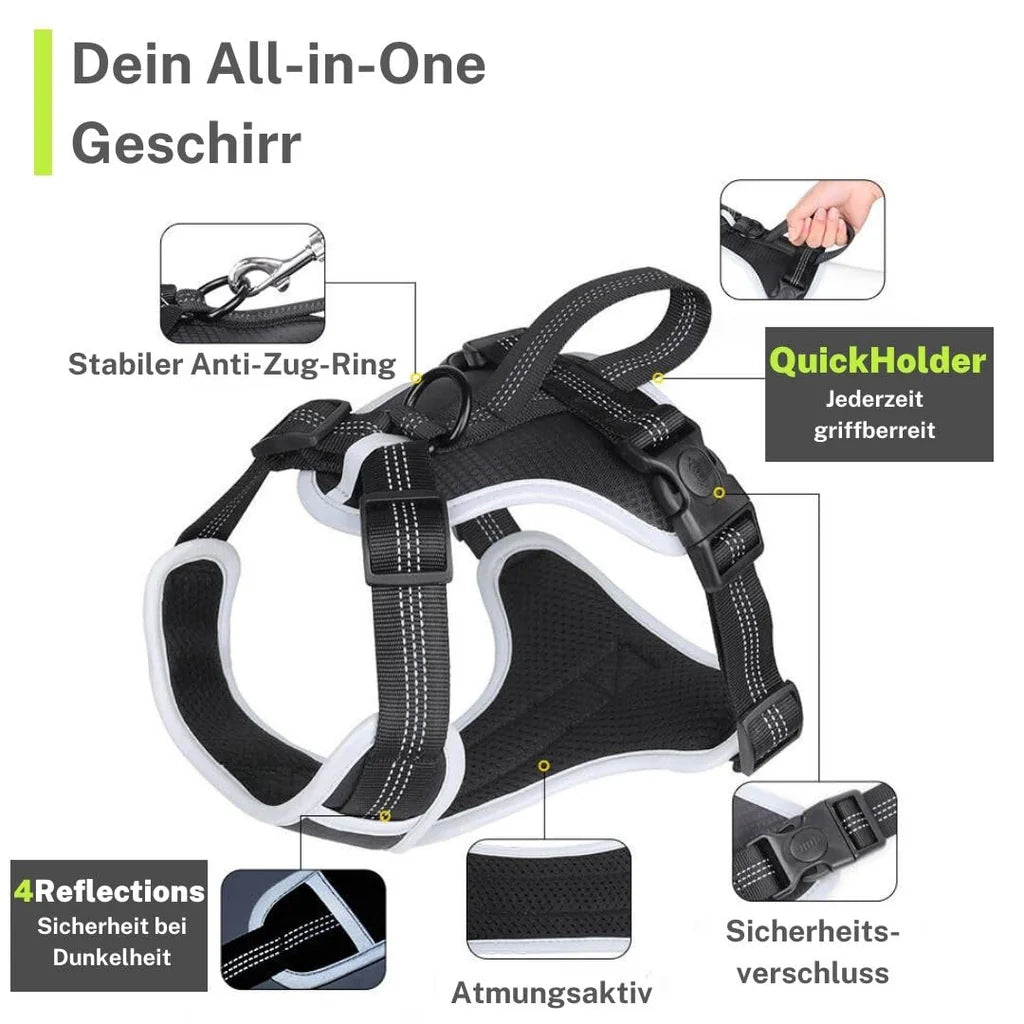 ASIAKASPALAUTUS - Koiran valjaat S